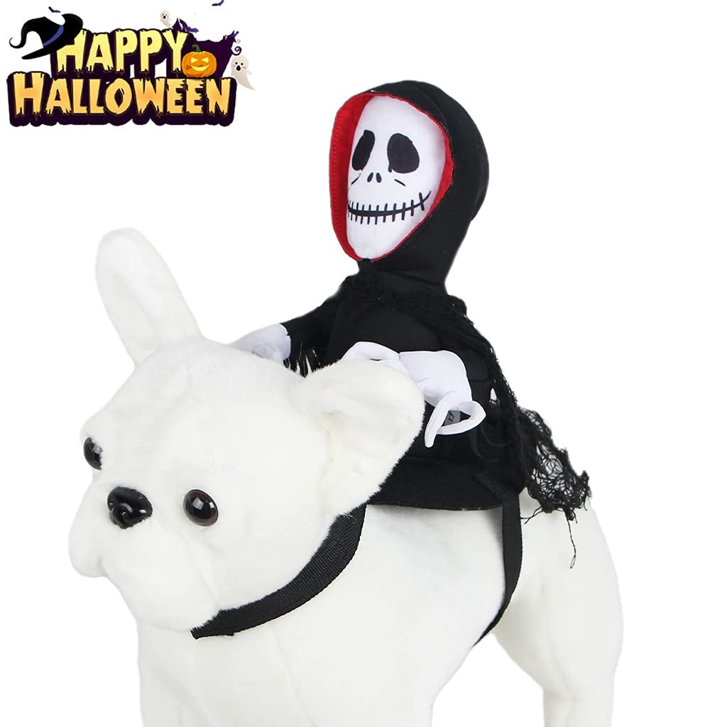 Spider Pumpkin Halloween Pet Costume for Spooky Fun