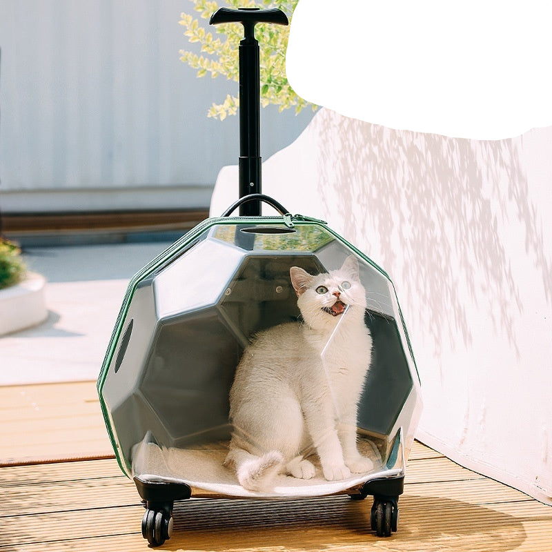 Pet Trolley – Transparent Portable Cat and Dog Luggage Suitcase