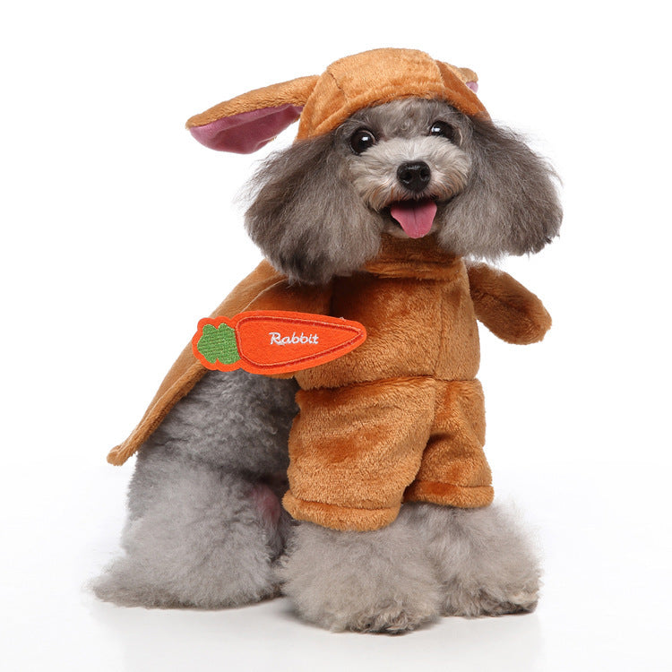 European and American Style Pet Clothing Collection