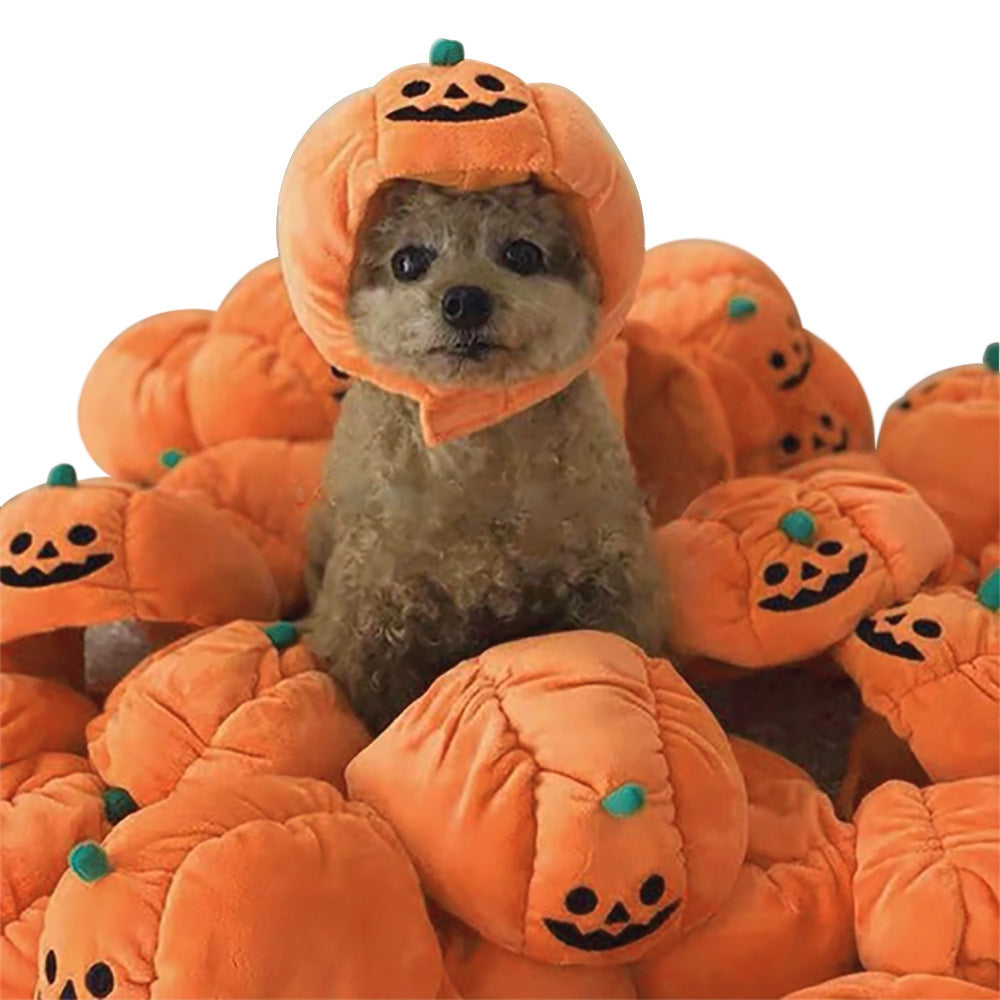 Curly Hair Pet Hat for Cats and Dogs