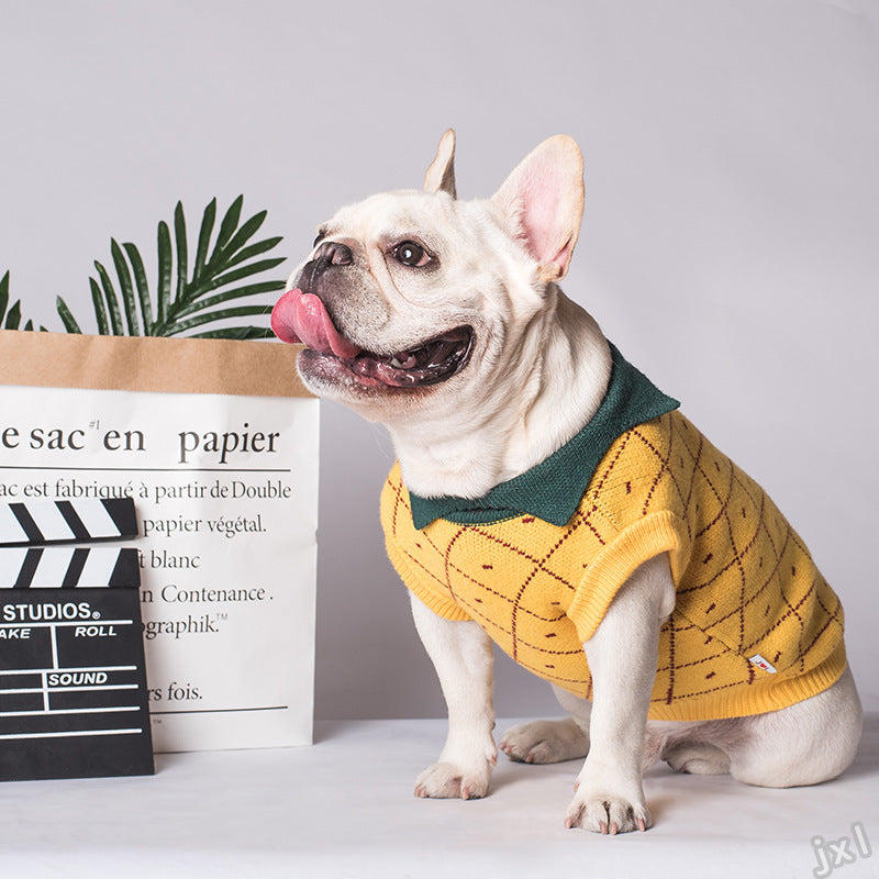 Warm Cotton Dog Sweater for Small and Large Dogs