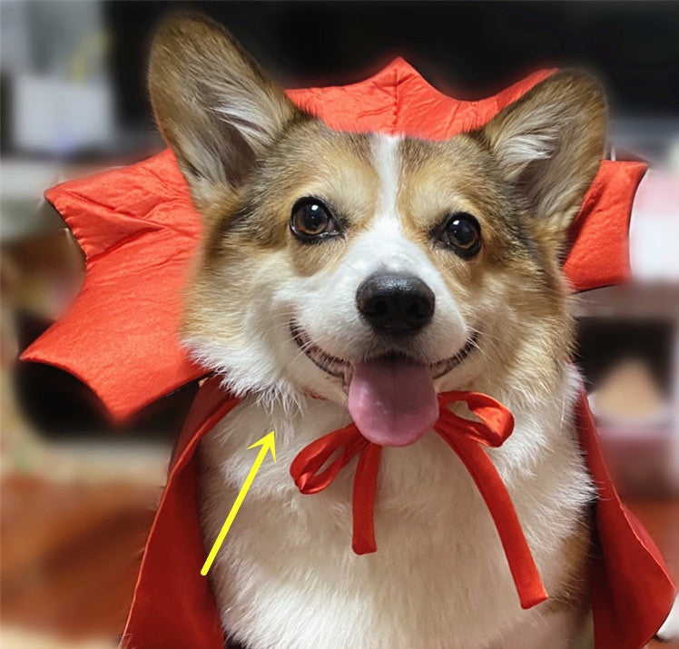 Halloween Vampire Cloak for Pets Scary Costume for Cats and Dogs
