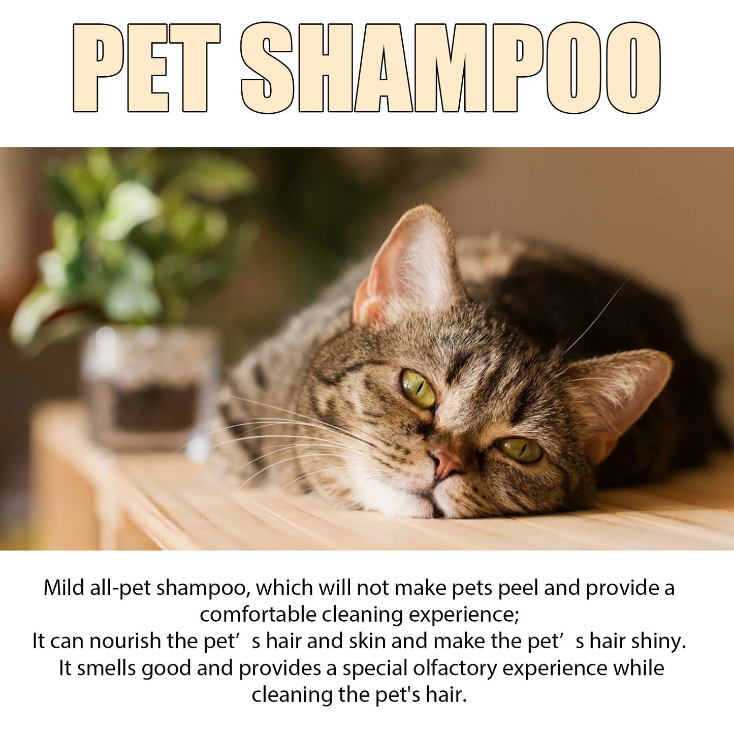 Pet Shampoo for Soft and Clean Fur