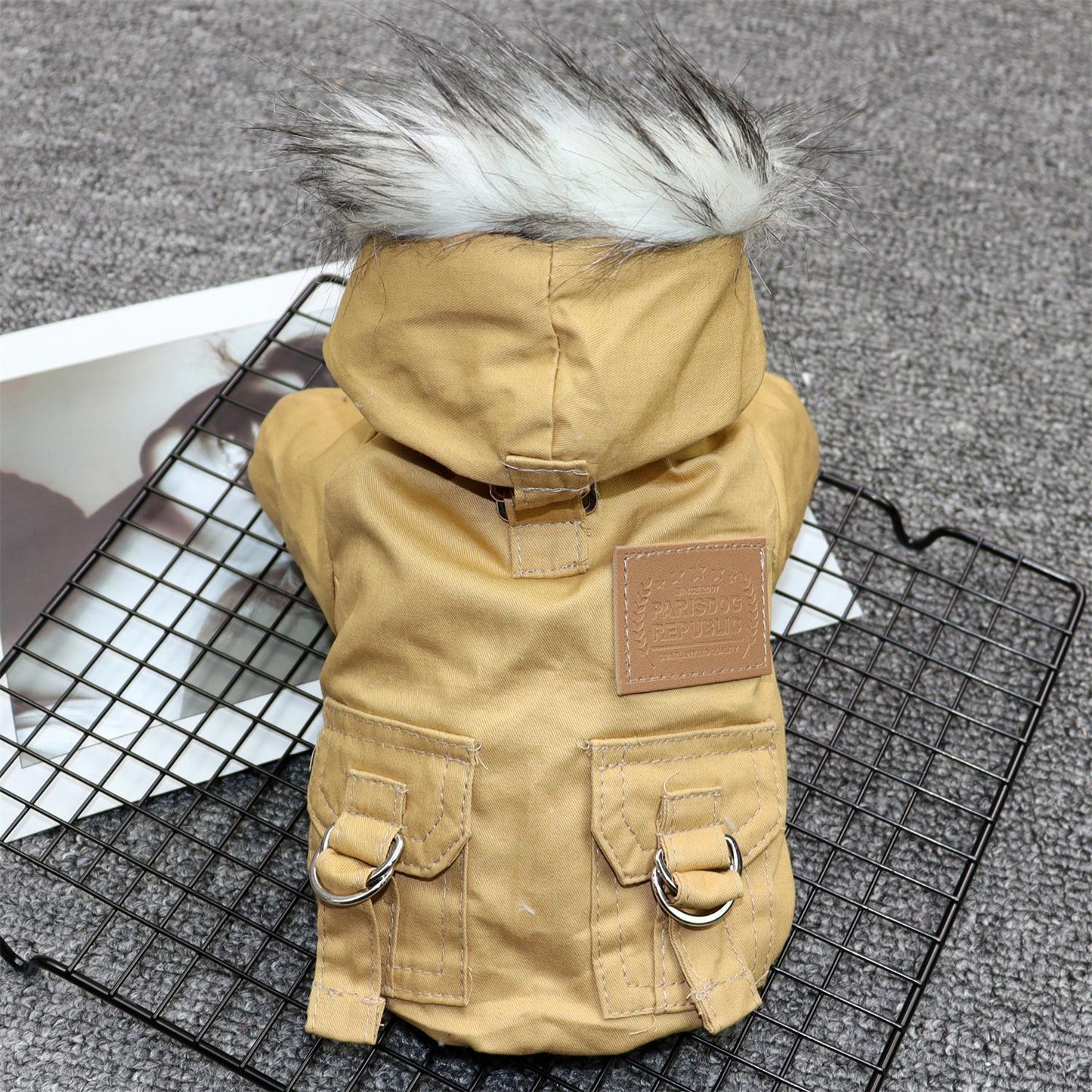 Padded Dog Coat for Small Breeds