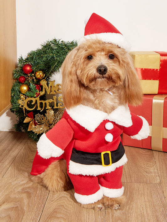 Christmas Dog Costume