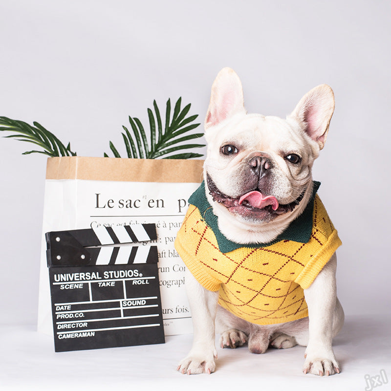Warm Cotton Dog Sweater for Small and Large Dogs