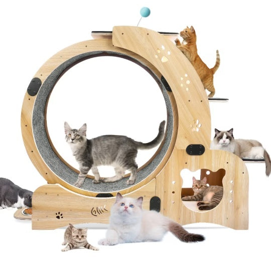 Cat Running Wheel With Silent Wheel