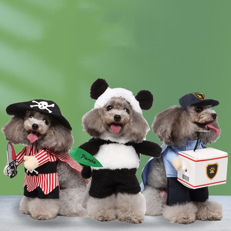 European and American Style Pet Clothing Collection