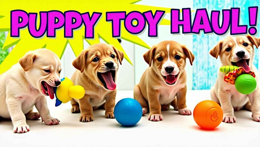 What Are the Best Pet Toys for Dogs? Top Picks for Every Age