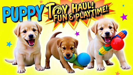 The Ultimate Puppy Toy Haul: Fun & Playtime with the Furry Trio!