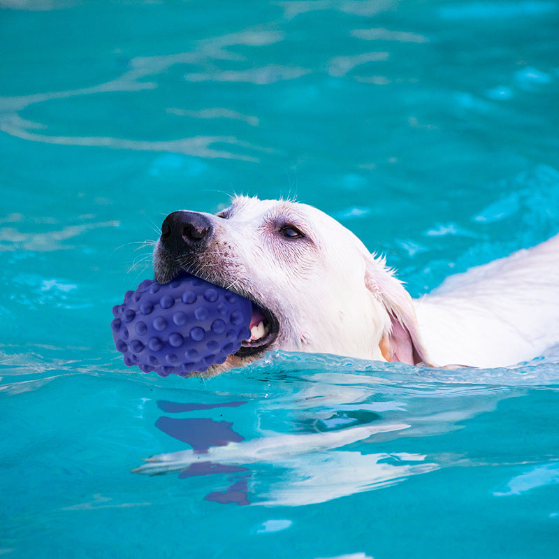 Natural Rubber Bite-Resistant Rugby Toy for Dogs – Teeth Grinding & Cleaning