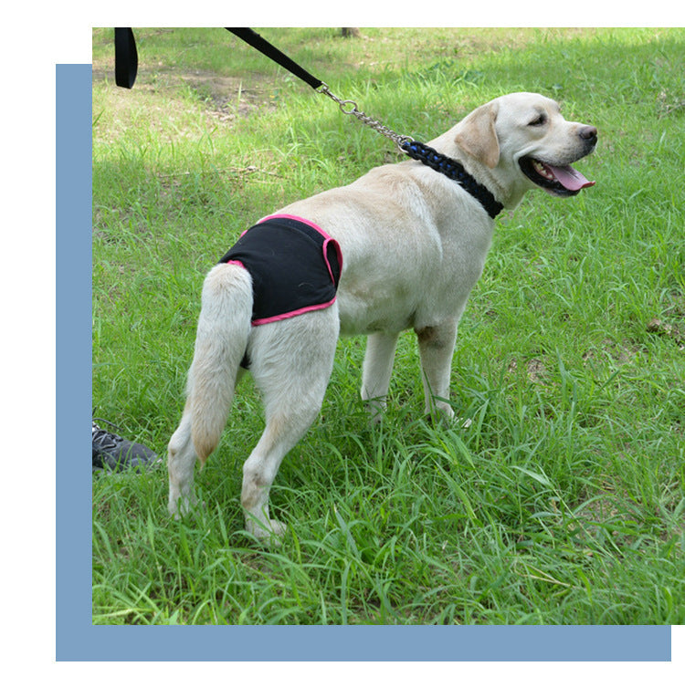 Pet Dog Simple Velcro Physiological Pants