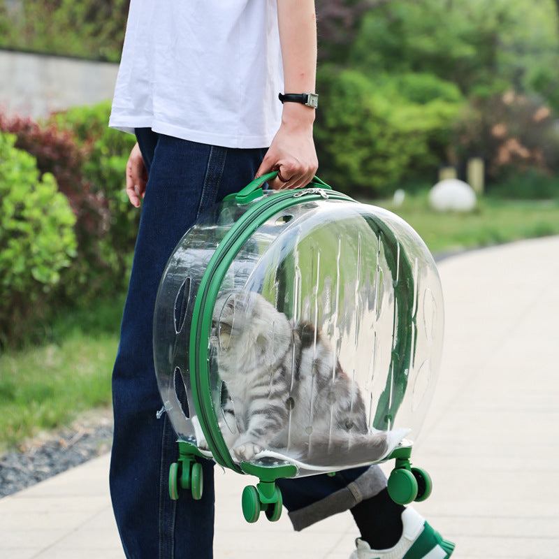 Portable Transparent Trolley Case Cat Bag