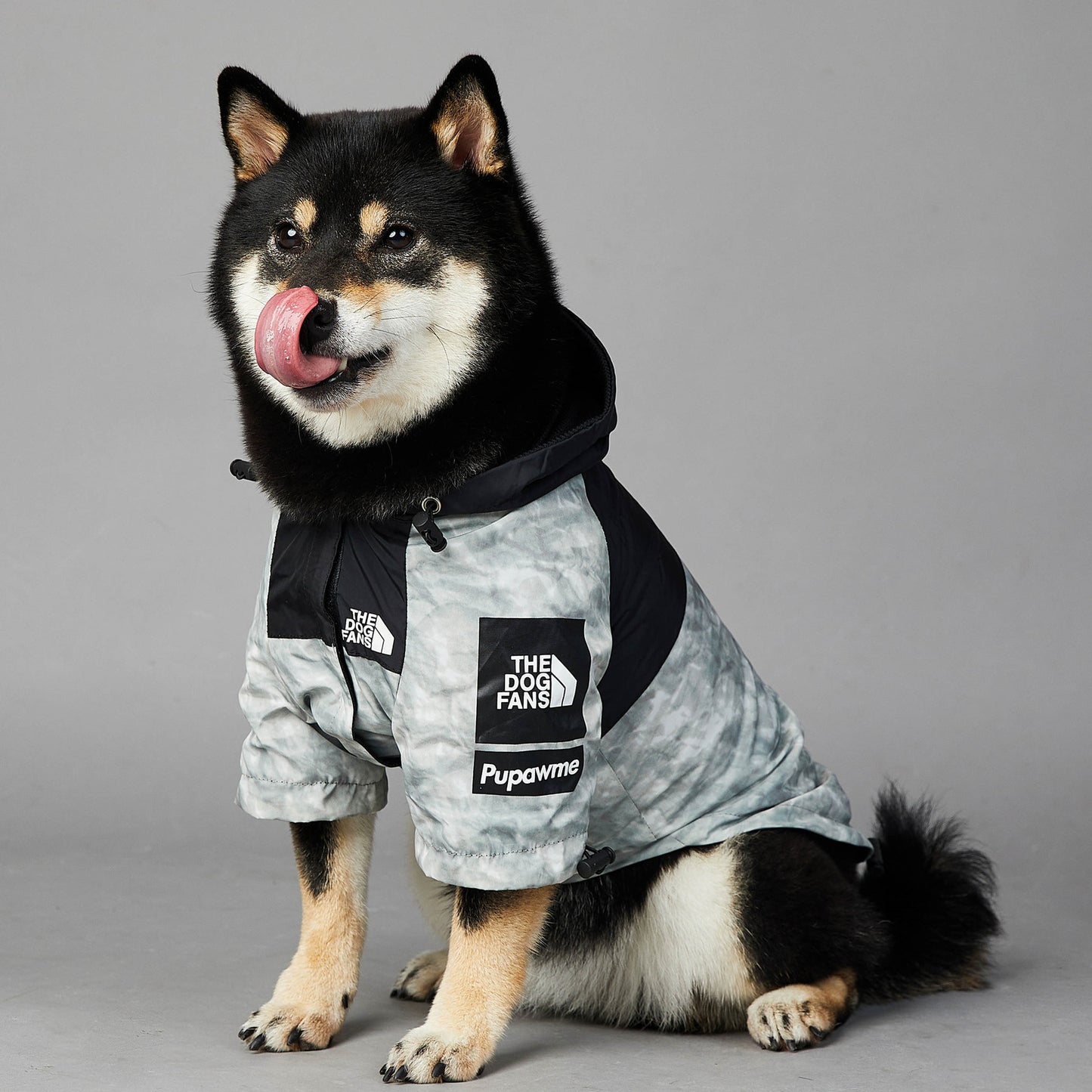 Stylish Dog Shell Jacket