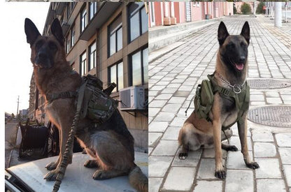 Tactical Dog Harness Adjustable Training Vest for Outdoor Use