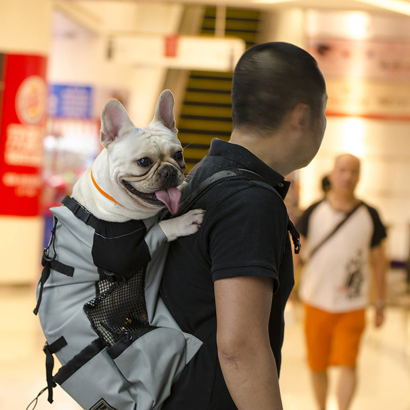 Outdoor shopping backpack