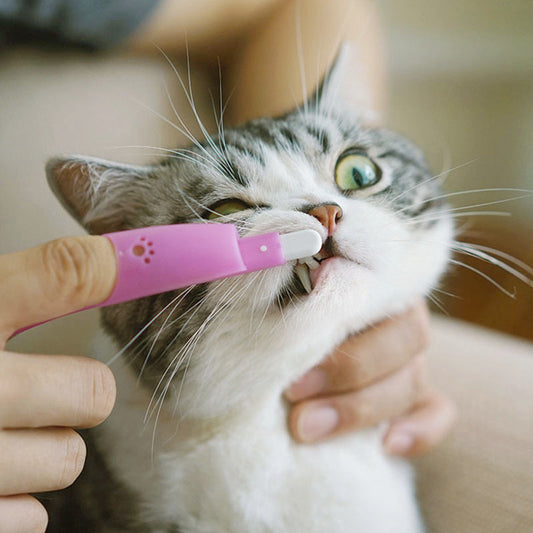 Pet Finger Toothbrush Soft And Effective Cleaning