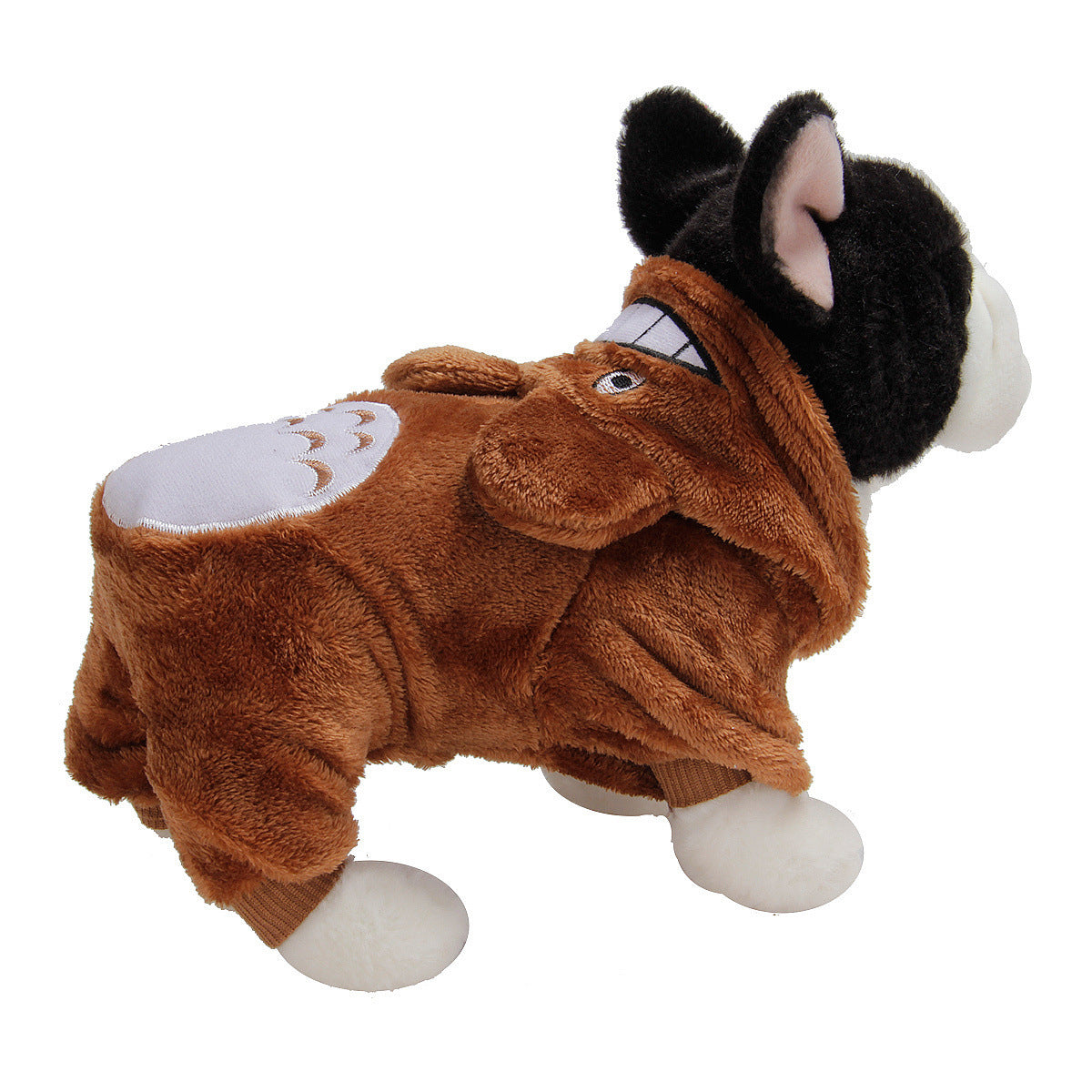 Pet dog turned clothes