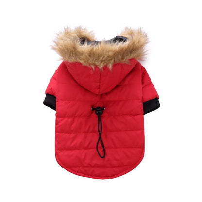 Winter Pet Clothing