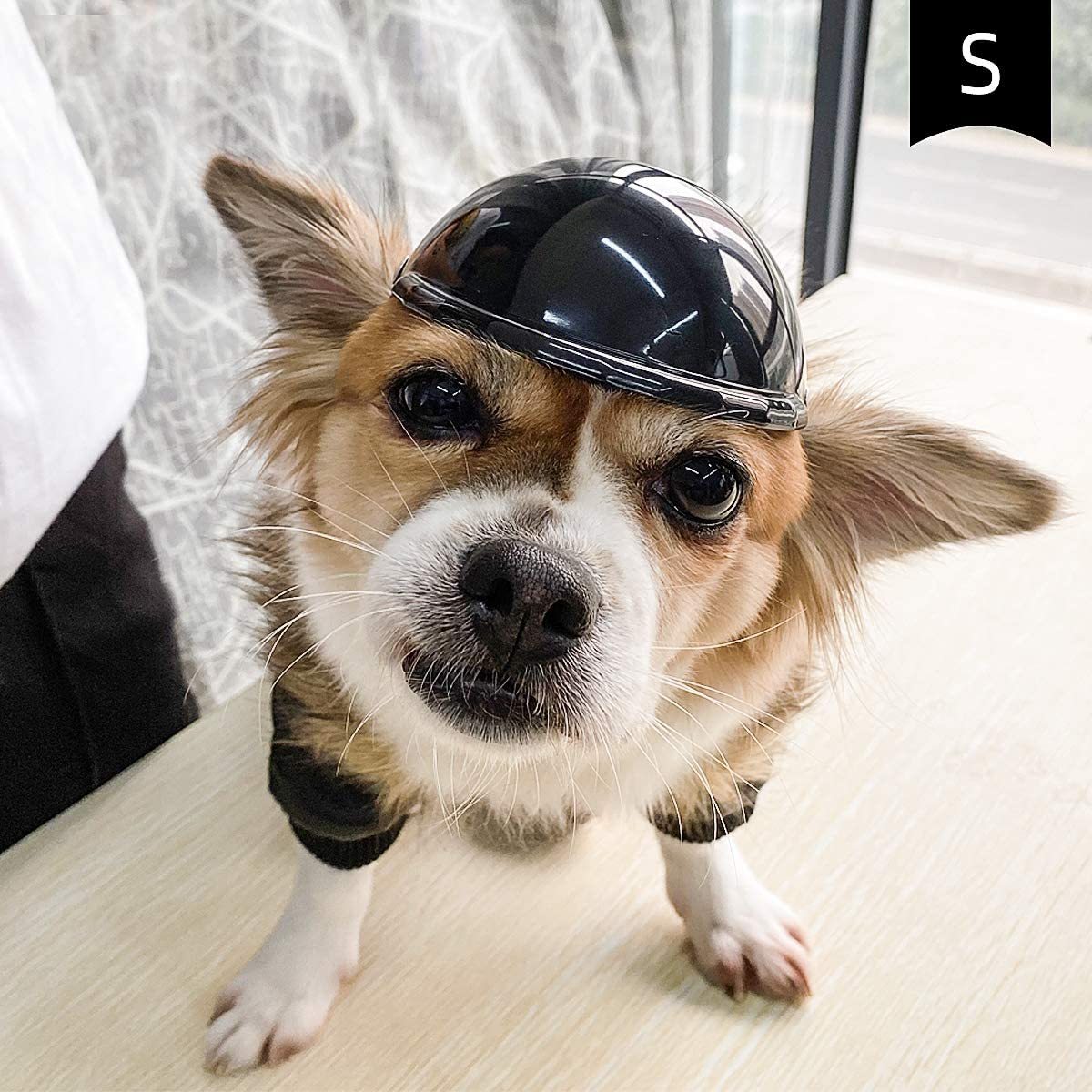 Pet Helmet New Motorcycle Helmet Dog Cat Accessories Pet Toy Hat Headwear