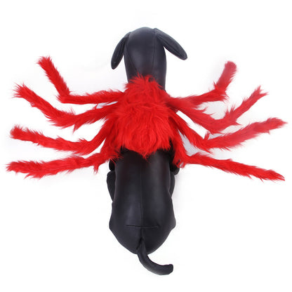 Halloween Spider Costume for Dogs and Cats