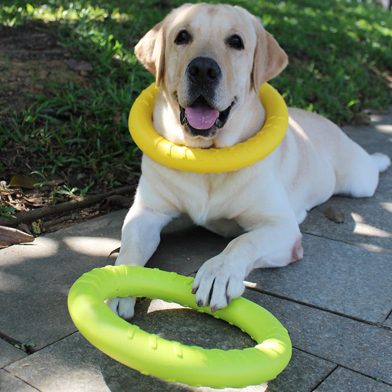 Pet toy bite resistant puppy molar interaction ring