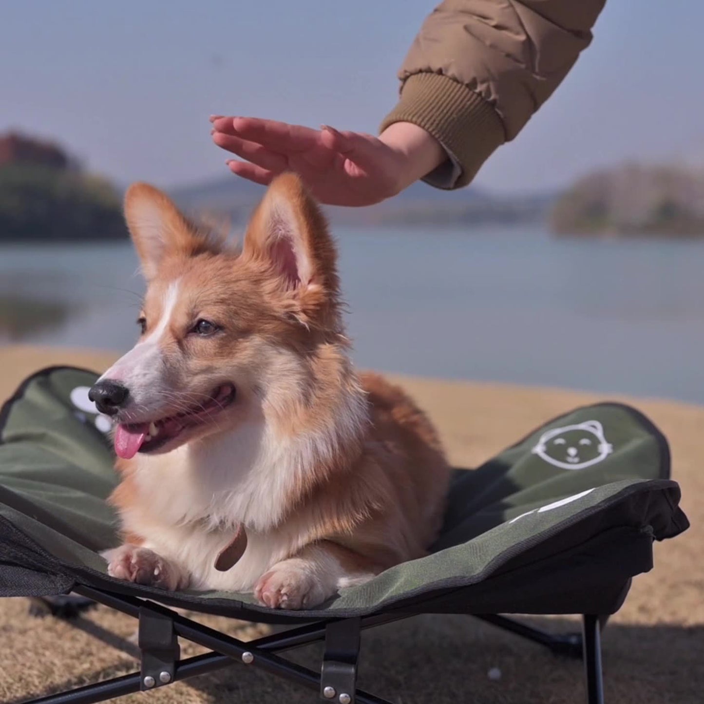 Outdoor Detachable Washable Folding Pet Bed