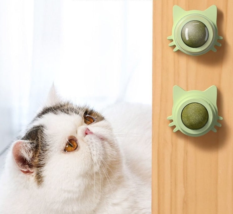 Catnip Ball Wall Edible Rotating