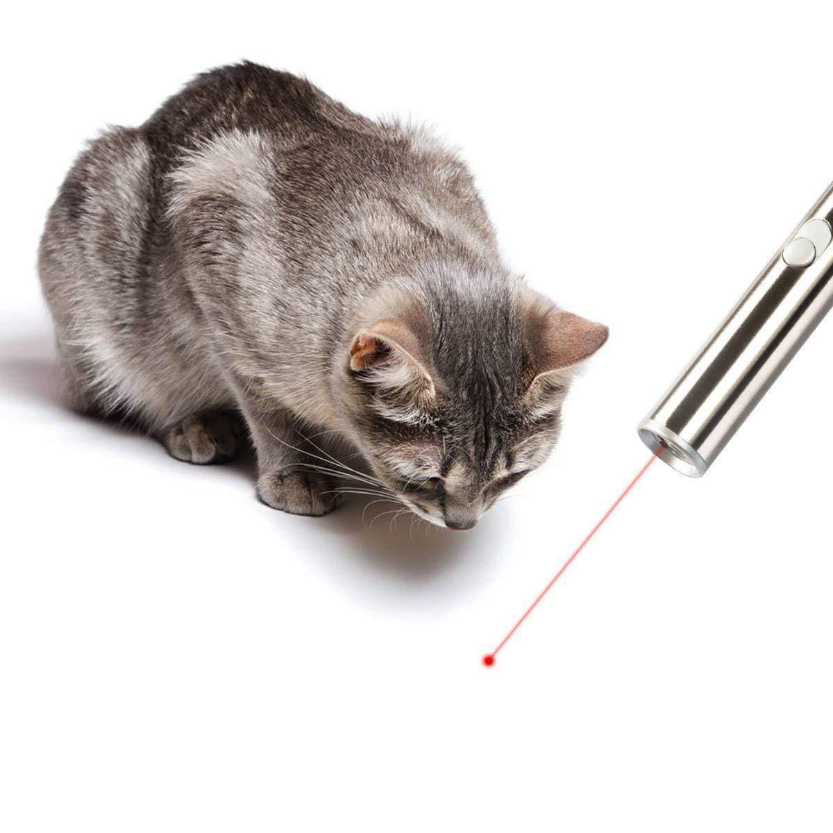 Laser funny cat stick