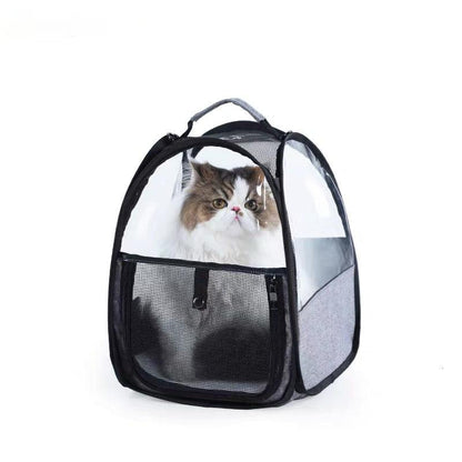 Pet Suitable Transparent Hand Cat Bag Foldable Portable Lightweight Outing