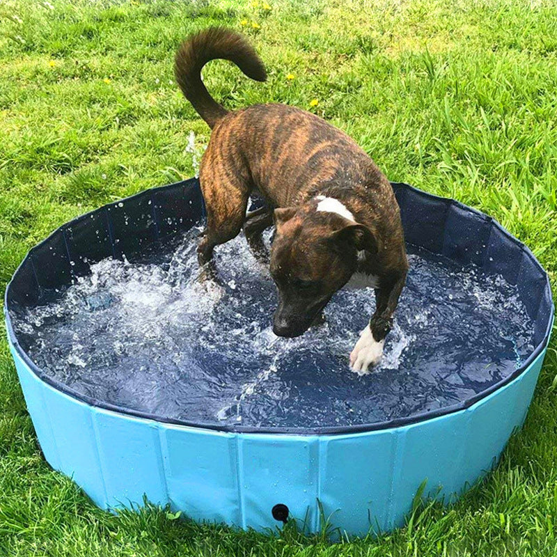 Foldable Dog Pool Portable Bath And Play Tub