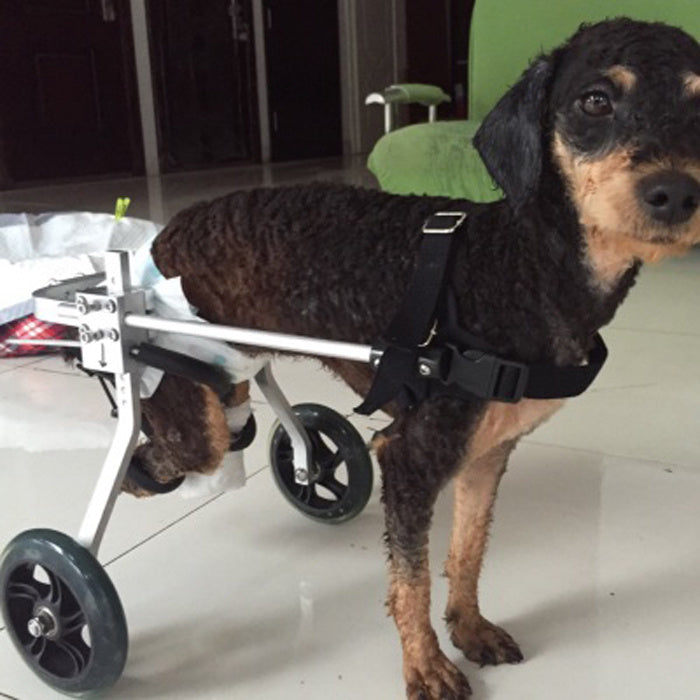 Dog Wheelchair - Fully Adjustable