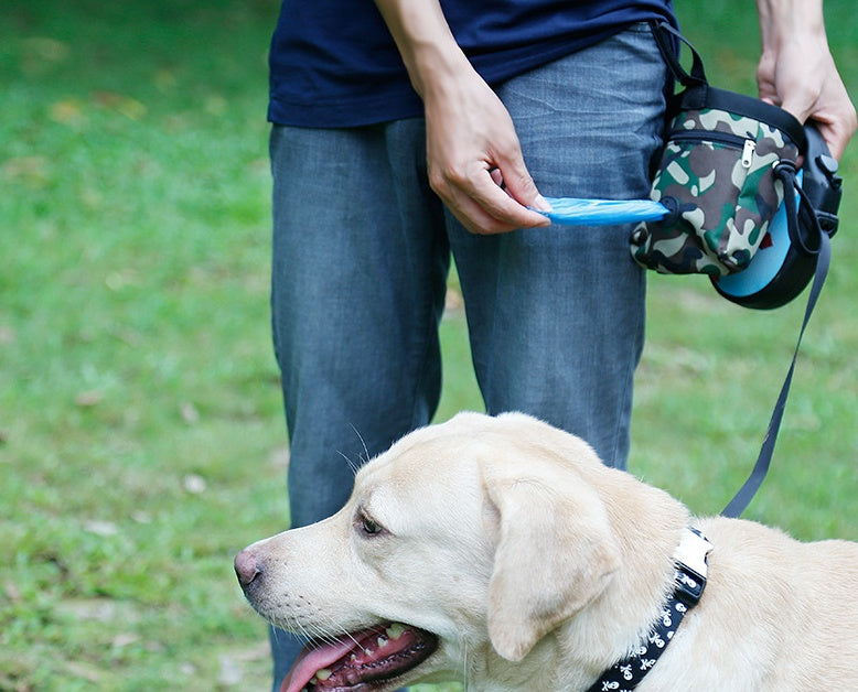 Multi-function camouflage pet package