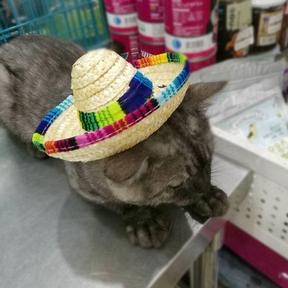Straw mini pet straw hat