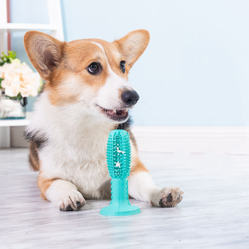 The New Dog Toothbrush, Dog Molar Teeth Cleaning Stick, Leaking Food Device, Bite Resistant Dog Toy