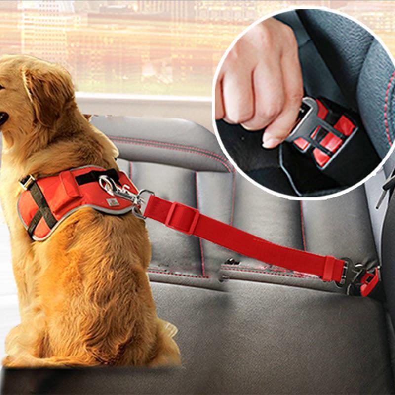 Dog Traction Belt Telescopic Rope Car Car Rope