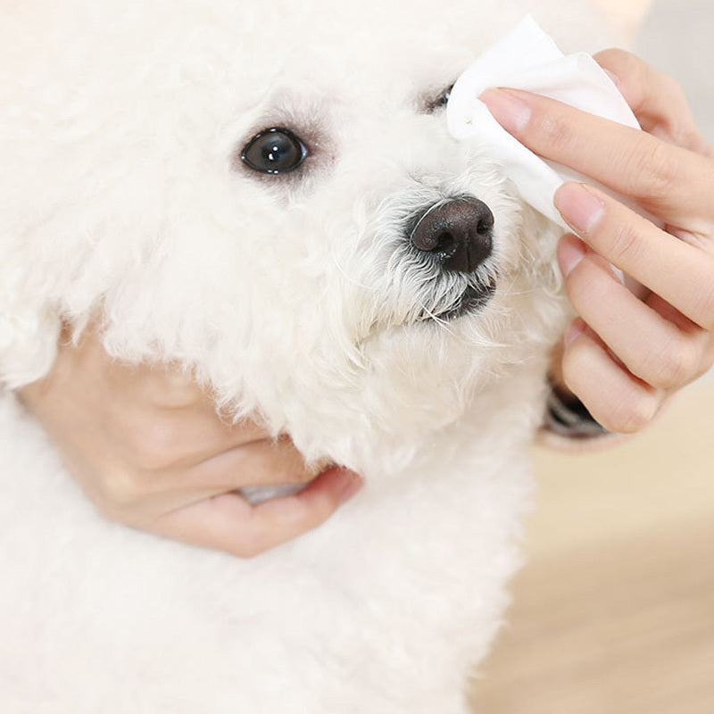 Pet Deodorizing And Tear Care Wipes