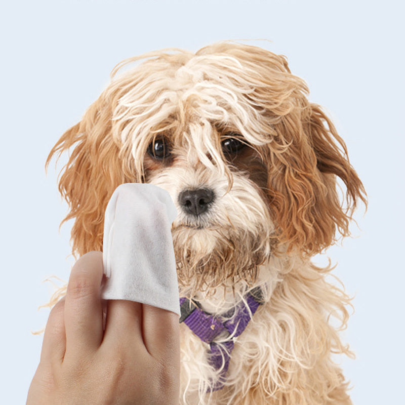 Pet Deodorizing And Tear Care Wipes