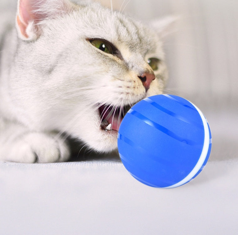 Pet Toy Ball Led Rolling Flash Ball