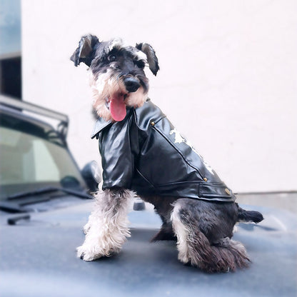 Cozy Winter Dog Outfit for Small and Large Breeds