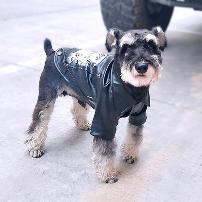 Cozy Winter Dog Outfit for Small and Large Breeds