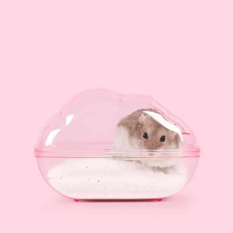 Hamster Cloud Bathroom And Sand Bath