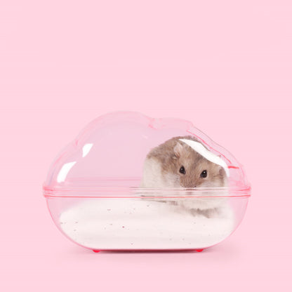 Hamster Cloud Bathroom And Sand Bath