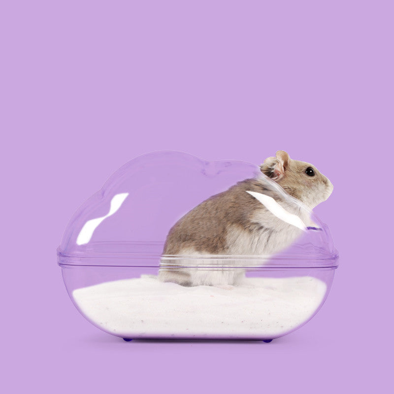 Hamster Cloud Bathroom And Sand Bath