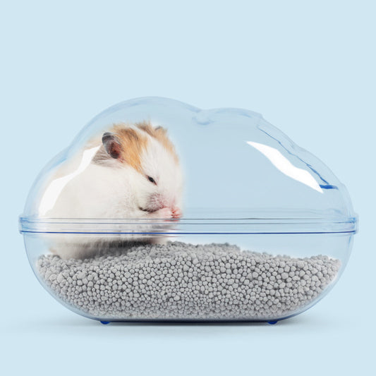 Hamster Cloud Bathroom And Sand Bath