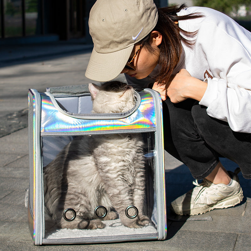 Large Space Transparent Laser Dog Backpack