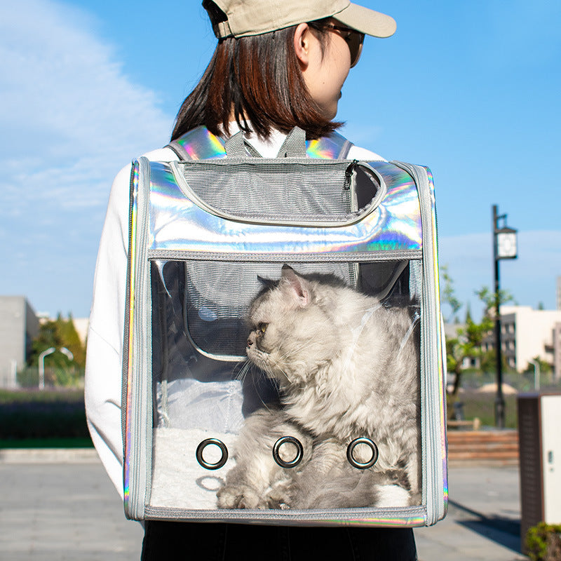 Large Space Transparent Laser Dog Backpack