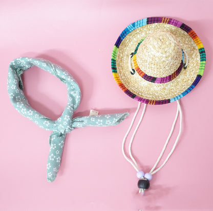Colorful Straw Hat and Scarf Pet Accessories Summer Outing Set for Dogs and Cats