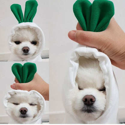 A collection of fruit-themed dog hoodies, each designed to look like a different fruit with a cute character face. A dog is shown wearing one of the hoodies, which is green with a frog design.