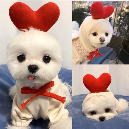A collection of fruit-themed dog hoodies, each designed to look like a different fruit with a cute character face. A dog is shown wearing one of the hoodies, which is green with a frog design.